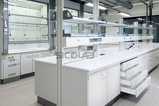 解剖实验室建设与SICOLAB解剖实验室效果图网站建设